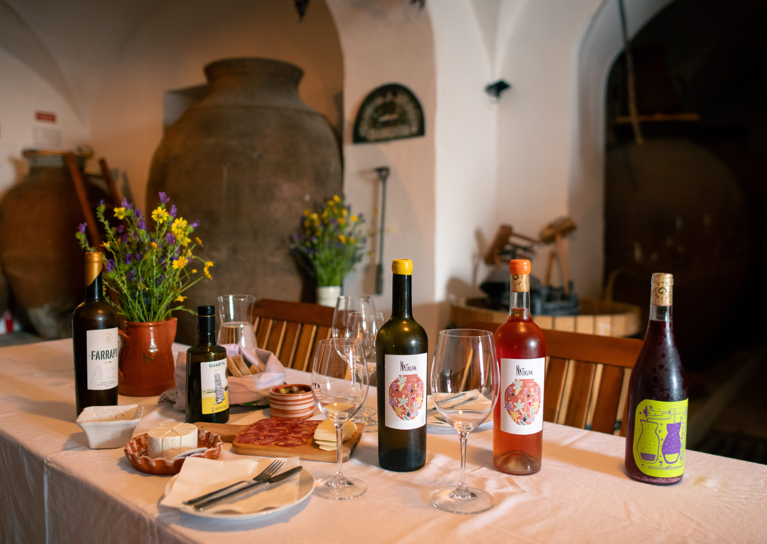 DSC_3872 Isabel Pires scaled